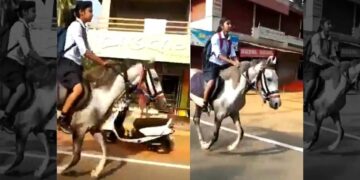 iforher-schoolgirl-horseback