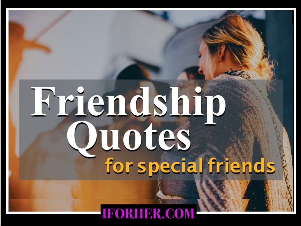 120 Friendship Quotes To Celebrate Your Friendship With Your Best