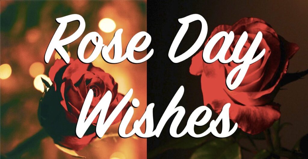 Rose-Day-Wishes-Whatsapp-Images-Greeting-Quotes