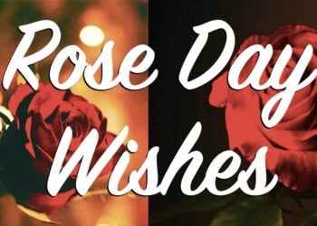 Rose-Day-Wishes-Whatsapp-Images-Greeting-Quotes