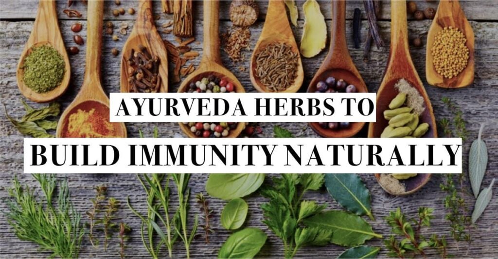 Immunity Boosting Herbs In Ayurveda