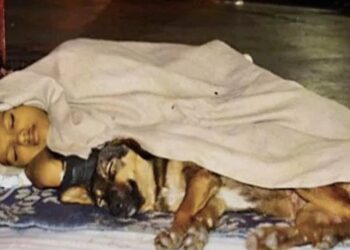 Homeless-Boy-Dog-Danny-Heart-touching-Story