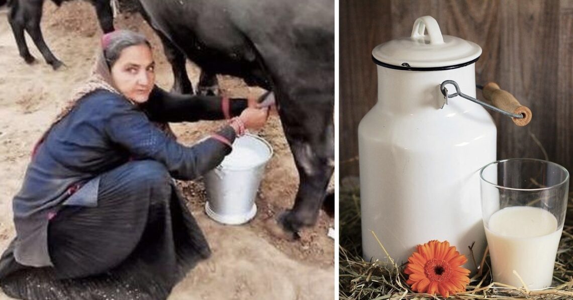 62YO Gujarati Woman Starts Milk Company, Sells Milk Worth Rs 1 Crore