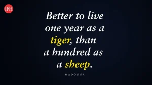 Madonna Quotes