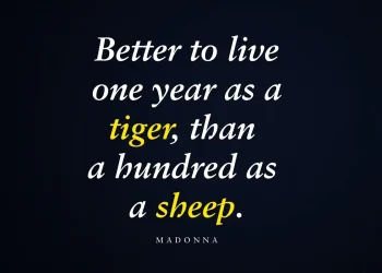 Madonna Quotes
