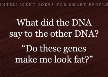 Intelligent-jokes