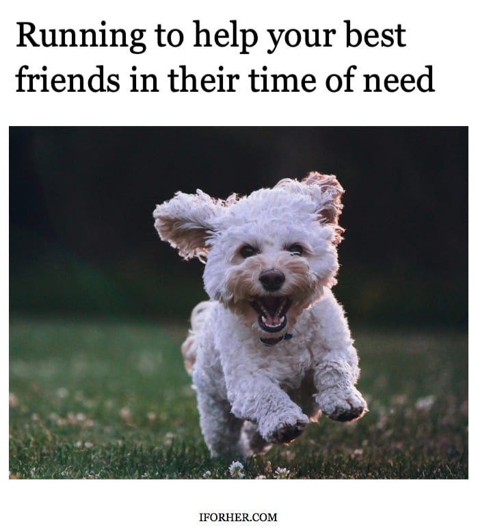 memes about friends