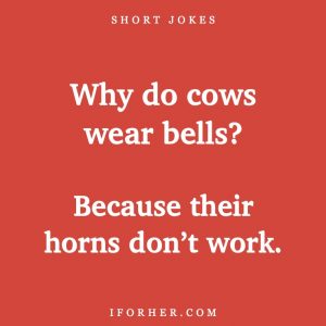 45 Best Funny Short Jokes For Adults To Make Anyone Laugh - Iforher