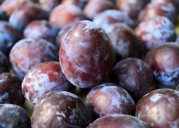 Aloo-Bhukhara-Benefits-Side-Effects