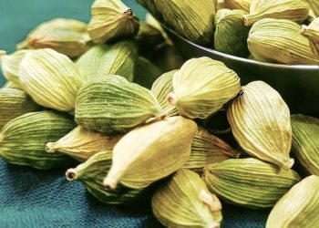 Benefits Of Cardamom & Side Effects