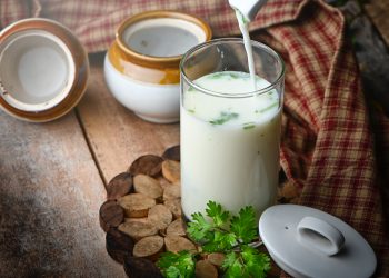 Best Probiotic food in India