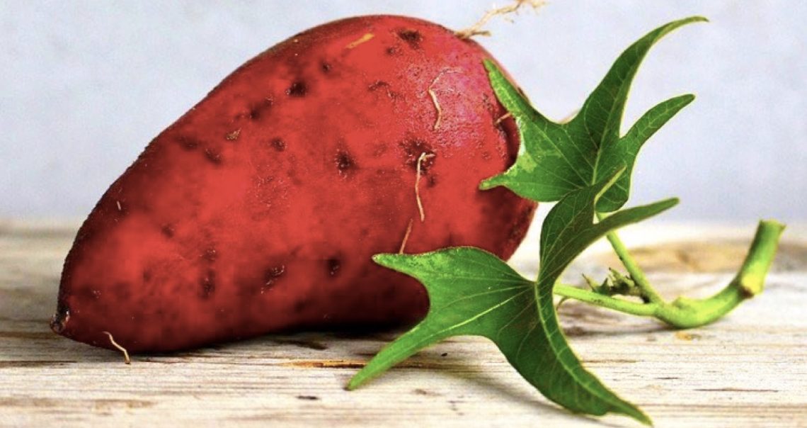 Potassium Rich Foods 40 Foods Rich In Potassium