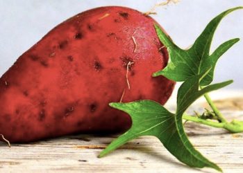 Benefits-of-Sweet-potato