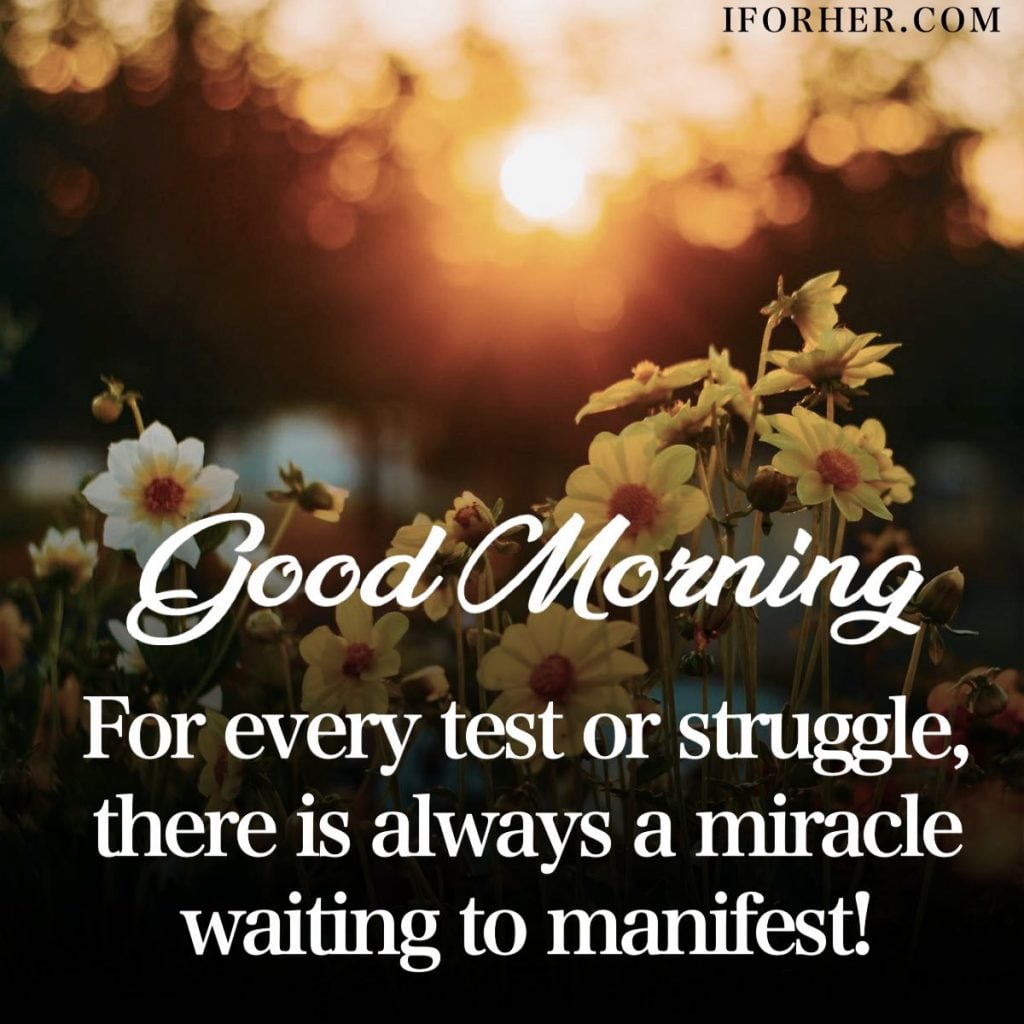 Extensive Compilation Of Over 999 Inspirational Good Morning Images Extensive Compilation Of Over 999 Inspirational Good Morning Images