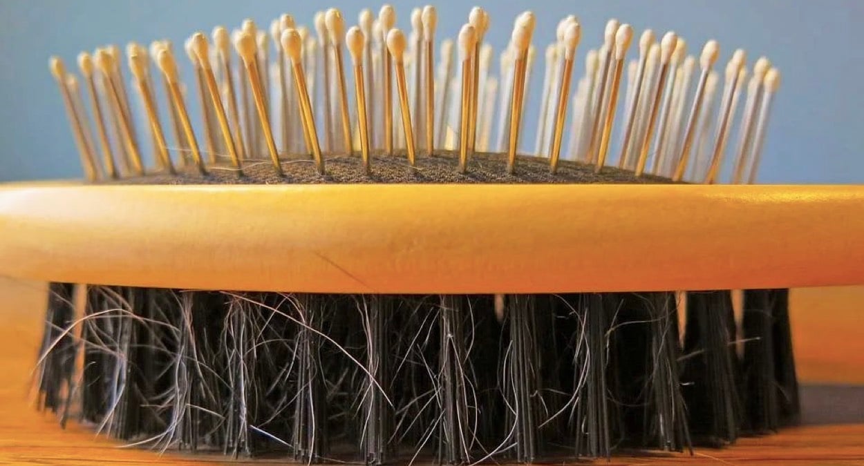 How To Clean Your Hairbrush In Simple Steps IFORHER