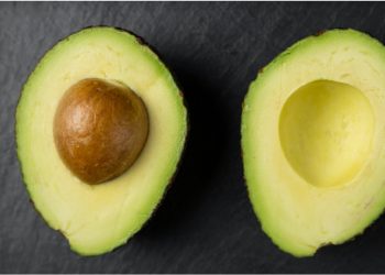 Type of avocado