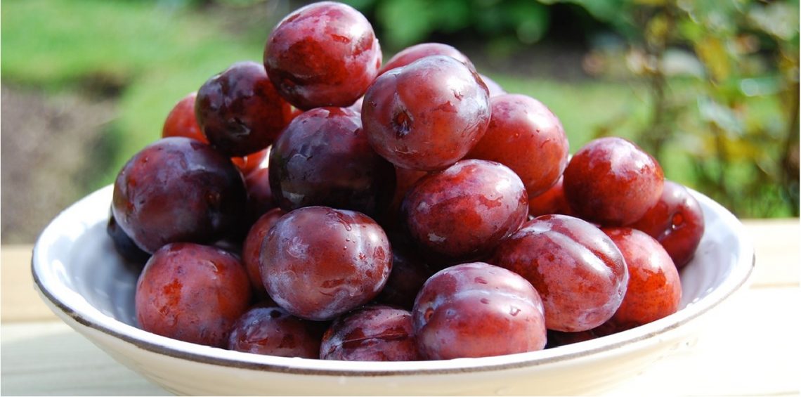Are Plums Good For You? 15 Benefits You Must Know