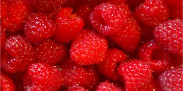 Benefits of raspberry