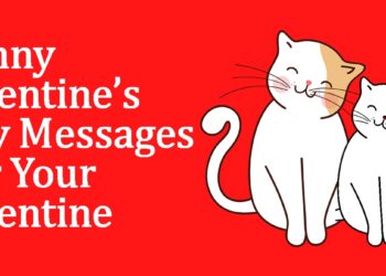 Funny Valentines Day Quotes & Messages -dp