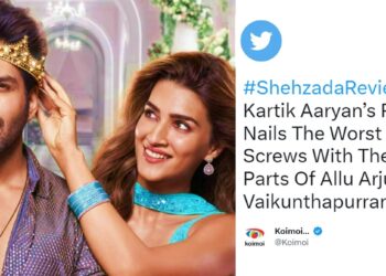 Kartik Aaryan Review2