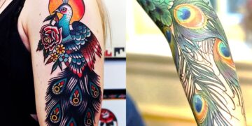 Peacock feather tattoo designs
