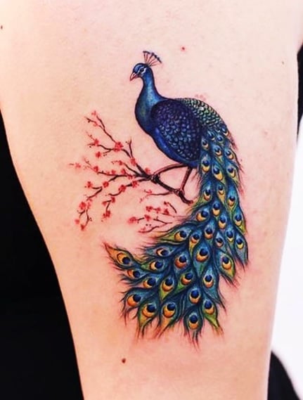 Tatuagem com desenhos de pavão