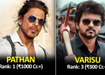 Indian Movies Highest Grosser Of 2023