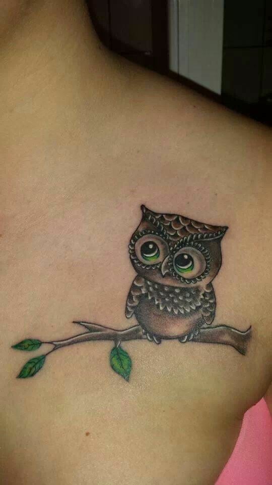 Owl sitting on twig-29