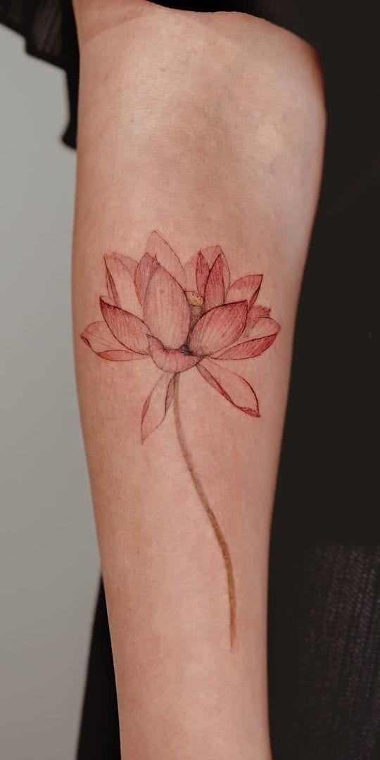 Gorgeous lotus tattoo