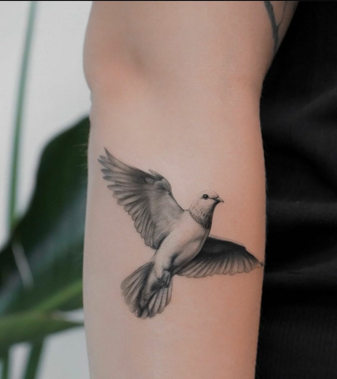 3D dove Tattoo-32