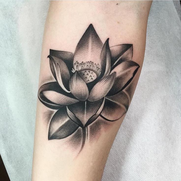 black and gray lotus tattoo
