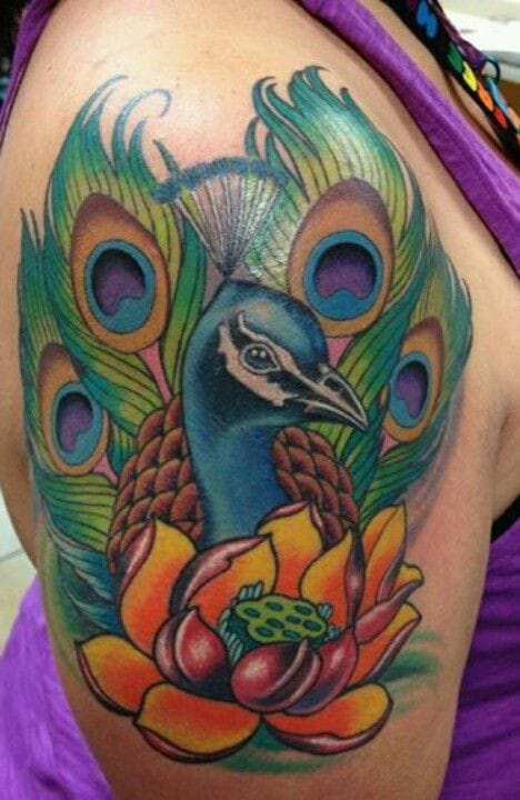 lotus flower and peacock tattoo
