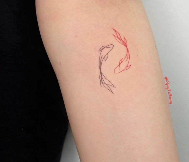 Tatuagem de peixe Koi estampado-05