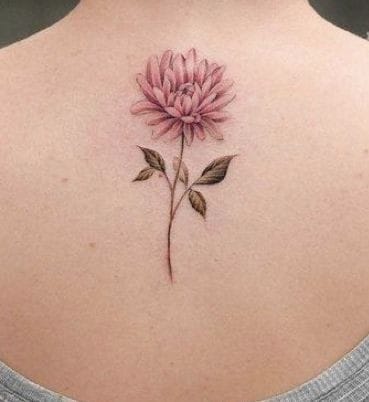 Chrysanthemum Tattoo