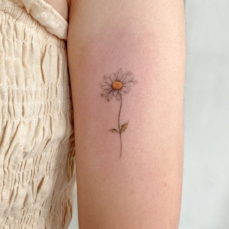 Daisy Tattoo