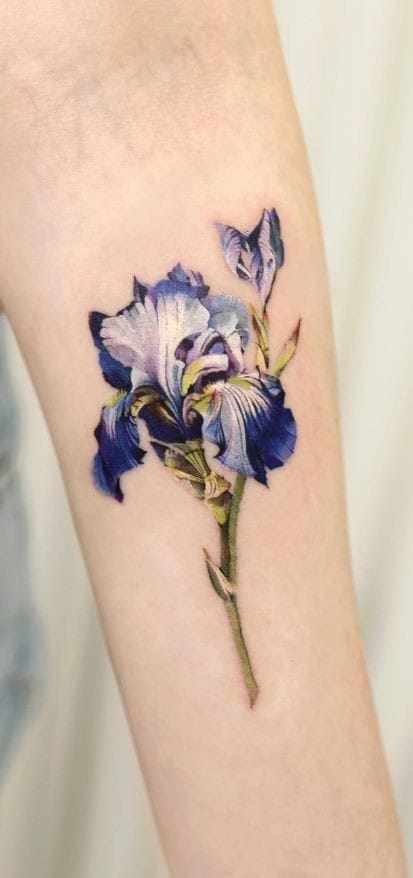 Iris Tattoo