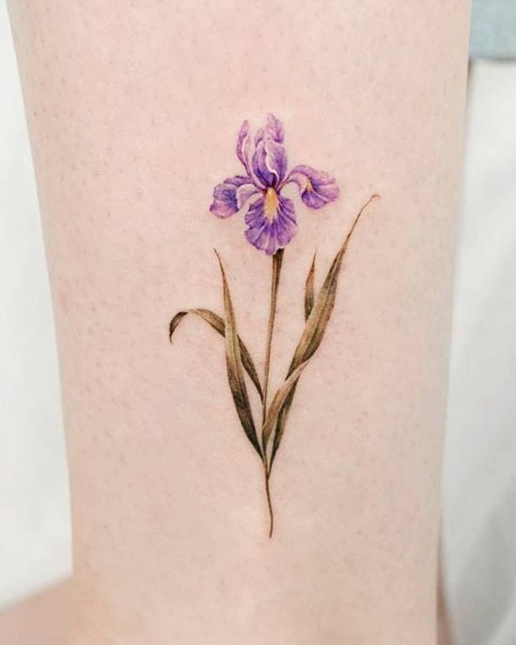 Iris Tattoo