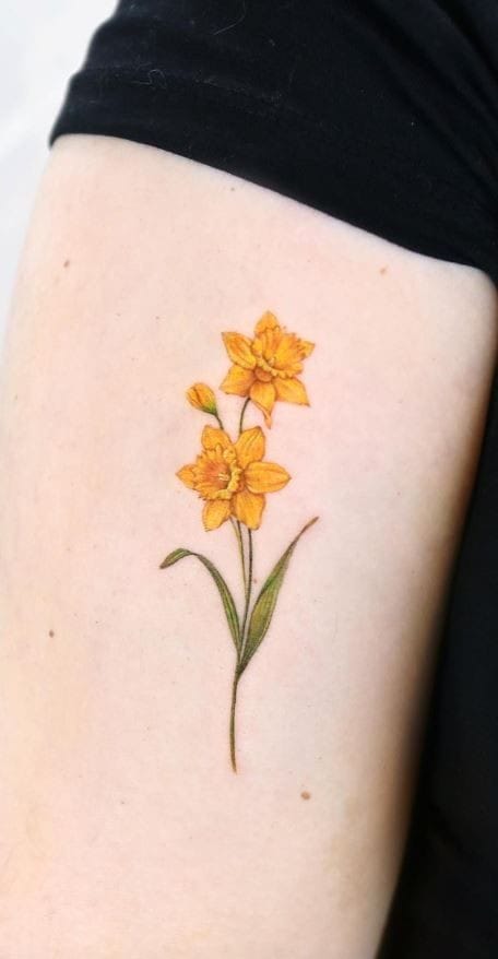 Narcissus Tattoo