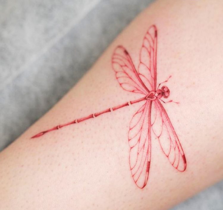 50 Chinese Dragonfly Tattoos Designs With Meaning (2024)
