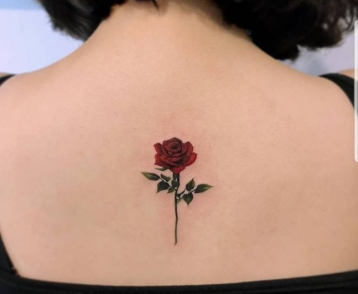 Rose Tattoo