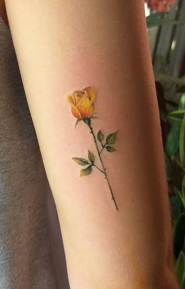 Rose Tattoo