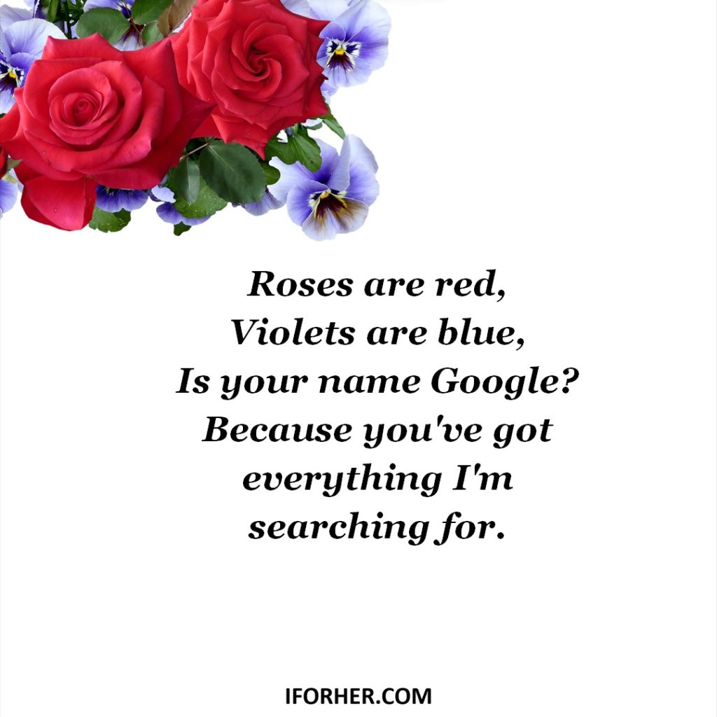 60 Best Roses Are Red Violets Are Blue Pick Up Lines