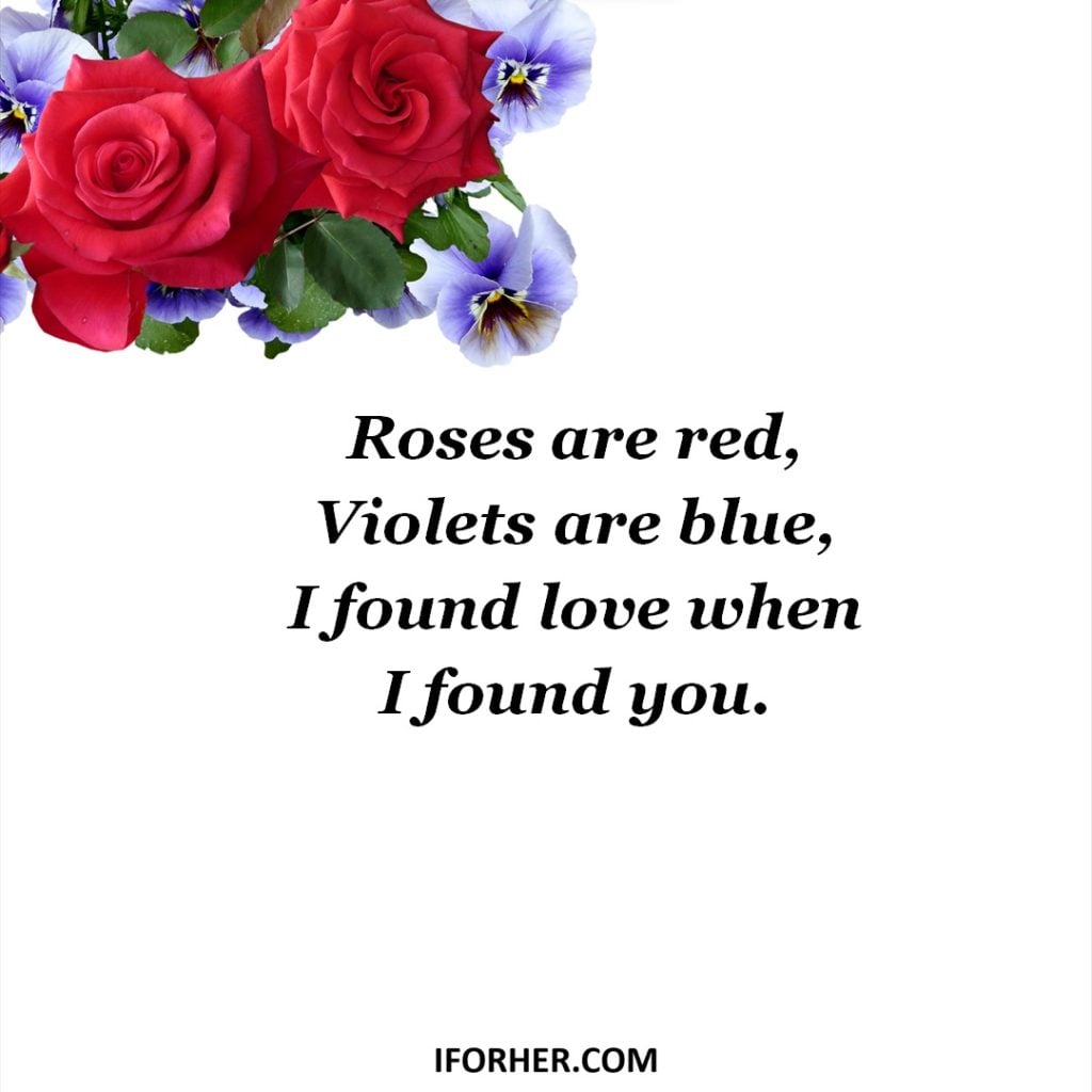 60 Best Roses Are Red Violets Are Blue Pick Up Lines
