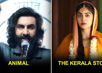 Recent Superhit Bollywood Movies Divided Audience