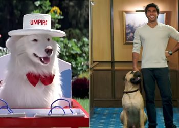 Guess Bollywood Movies from Pets