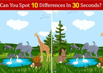 Can You Spot Differences Game - 01