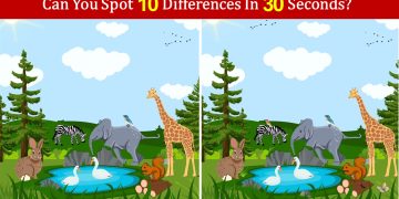 Can You Spot Differences Game - 01