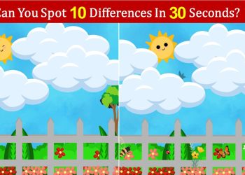 Spot the difference puzzle - 02 - Sunny Day - IForHer