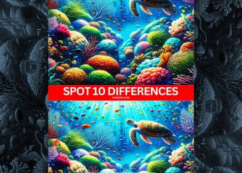 Spot Difference Game - Oceanic View - dp