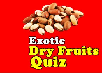 Food Quiz: Dry Fruits Quiz IForHer